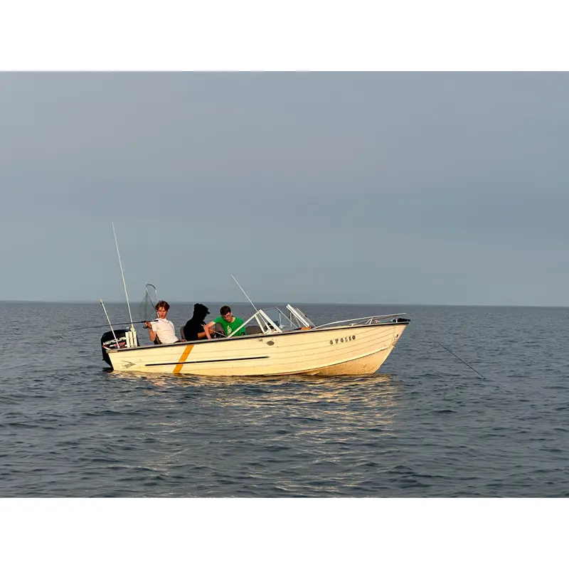 1979 Springbok 19-Foot Fiberglass Boat with 1996 Mercury 50 ELPT 4-Stroke Engine