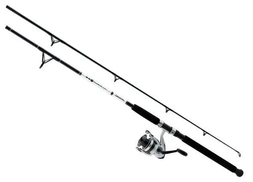 Daiwa D-Wave Spinning Combo – 11-Foot, 2-Piece Medium Power Rod with 1-Bearing Reel