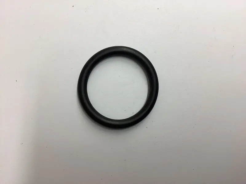 Elastomer O-Ring – PN 318717