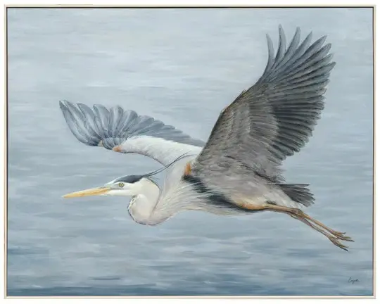 Heron in Flight Wall Art Print