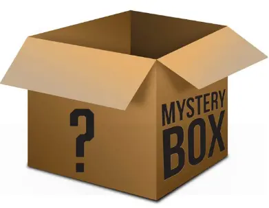 Mystery Shoe Box – Assorted Styles & Sizes