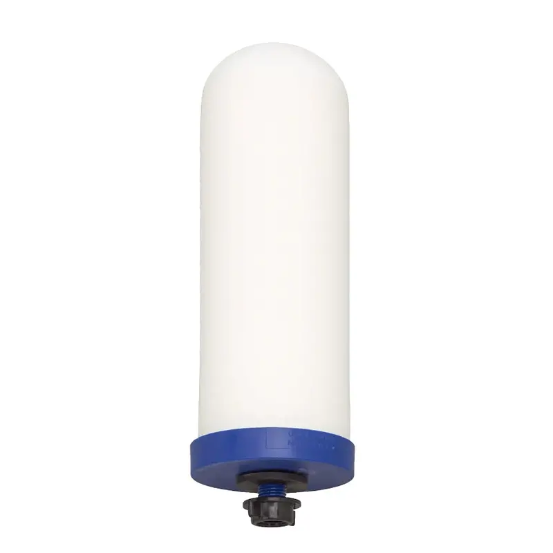 ProOne G2.0 9-Inch Replacement Water Filter Element