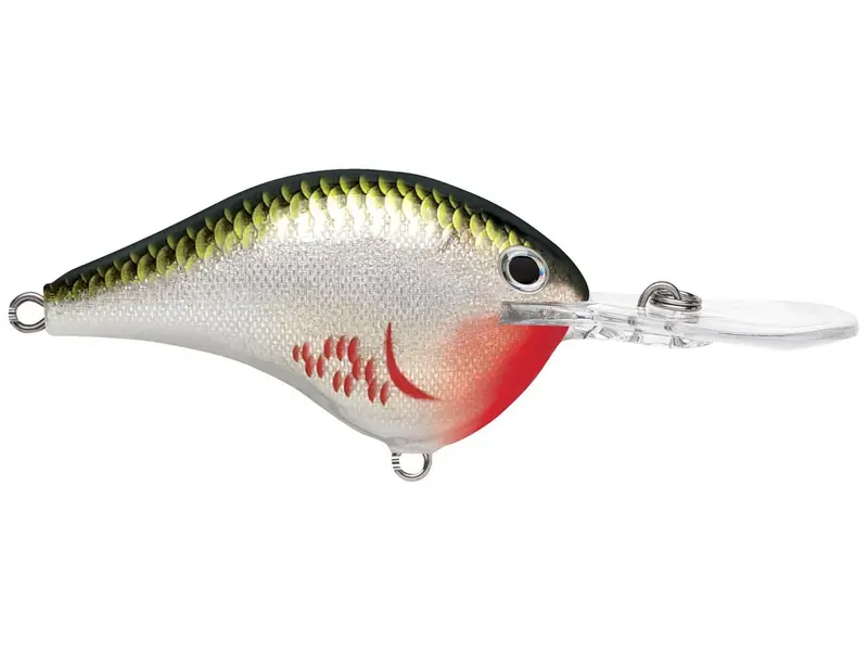 Rapala DT Series Deep Diver Lure – 12-Inch, 3/5 oz, Bleeding Olive Shiner