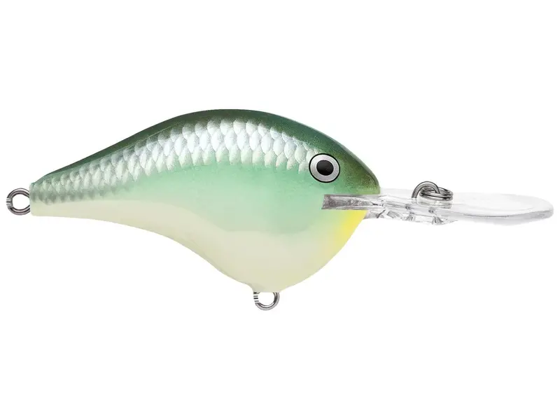 Rapala DT Series Deep Diver Lure – 12-Inch, 3/5 oz, Blue Back Herring