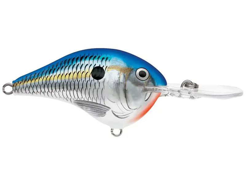 Rapala DT Series Deep Diver Lure – 12-Inch, 3/5 oz, Blue Shad