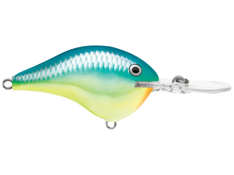 Rapala DT Series Deep Diver Lure – 12-Inch, 3/5 oz, Caribbean Shad