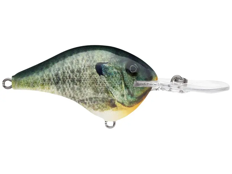Rapala DT Series Deep Diver Lure – 12-Inch, 3/5 oz, Live Bluegill