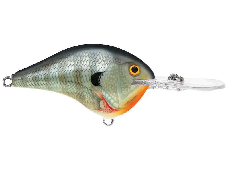 Rapala DT Series Deep Diver Lure – 12-Inch, 3/5 oz, Natural Bluegill