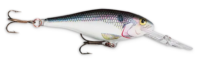 Rapala Shad Rap – Compact 2-Inch Crankbait in Shad Pattern, 3/16-Ounce