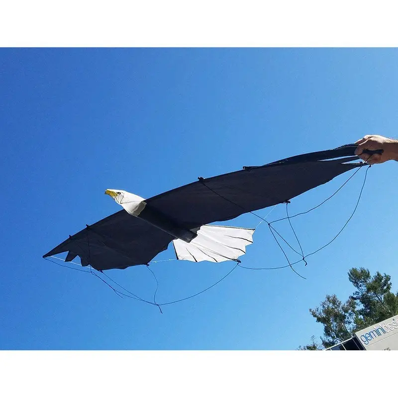 Revolution Eagle Dual-Line Sport Kite