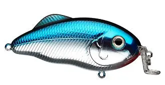 Strike King Hybrid Hunter Jr Jig – 1/2 oz, 3 in Chrome Blue Back