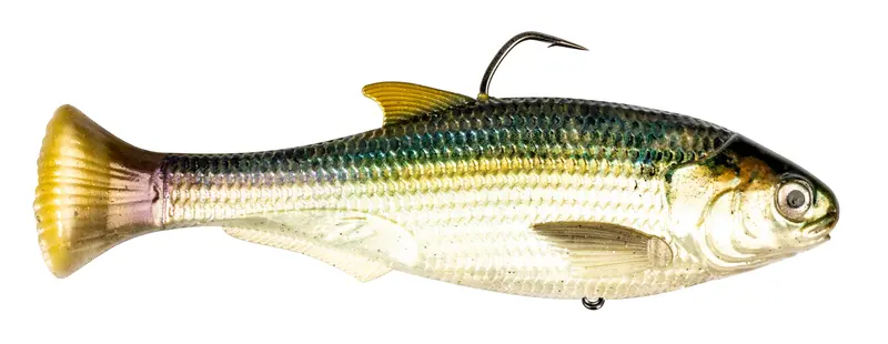 Z-MAN Shadtron LT 4.5-Inch Slow-Sinking Swim Bait – Blueback Herring