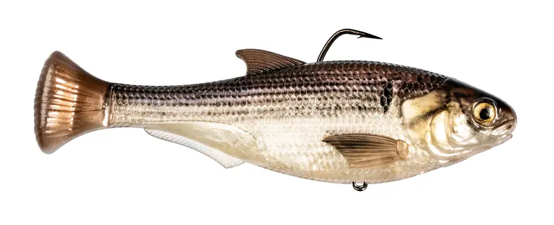 Z-Man Shadtron LT Soft Swim Bait – 4.5-Inch Gizzard Shad, Slow-Sink Formula