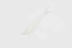 Zoom Tiny Fluke Soft Bait – 3 in Pearl Finish (20 per Bag)